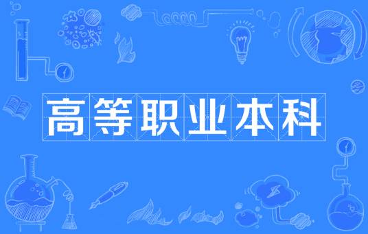 高等职业本科