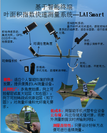 叶面积指数测量