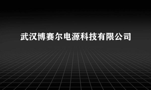 武汉博赛尔电源科技有限公司