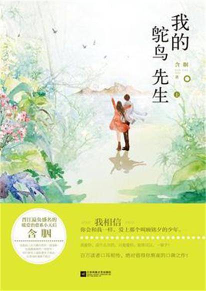 我的鸵鸟先生（2015年江苏凤凰文艺出版社出版的图书）