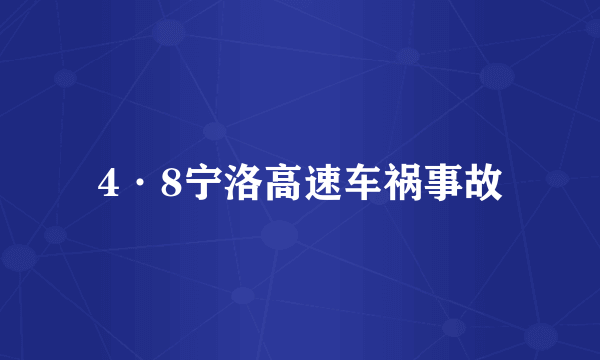 4·8宁洛高速车祸事故