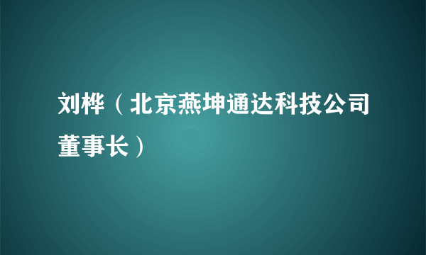 刘桦（北京燕坤通达科技公司董事长）