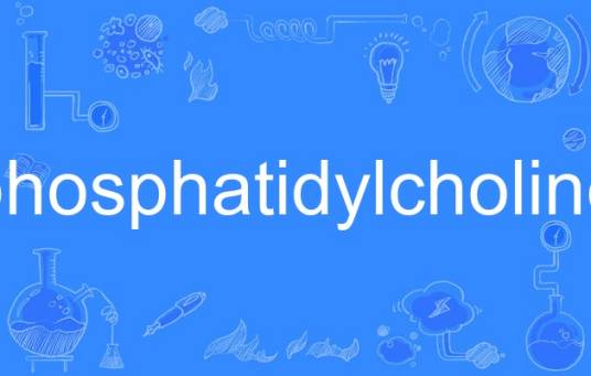 phosphatidylcholine