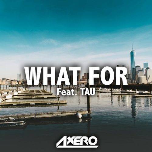 What For（歌曲）