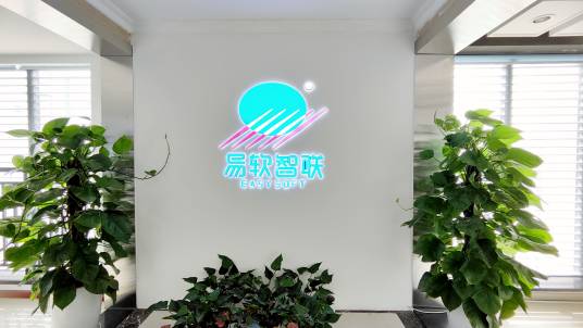 四川易软信息技术有限公司