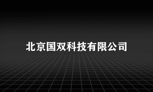 北京国双科技有限公司