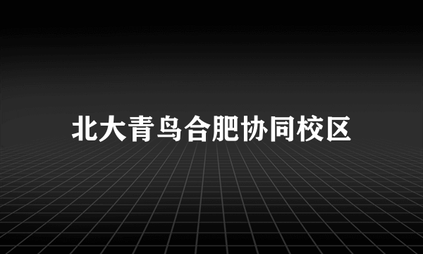 北大青鸟合肥协同校区
