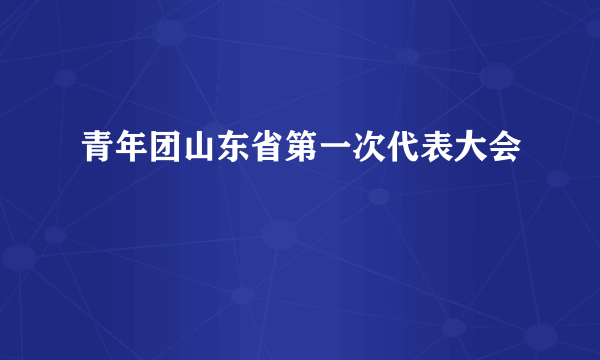 青年团山东省第一次代表大会