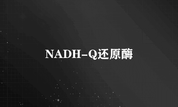 NADH-Q还原酶