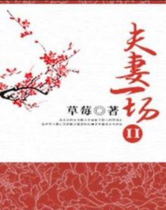 夫妻一场II