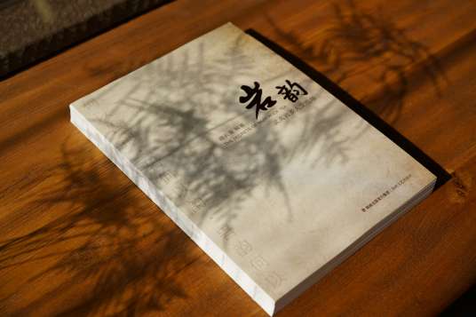 岩韵（2016年海峡文艺出版社出版的图书）