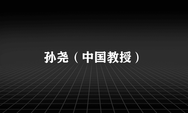 孙尧（中国教授）