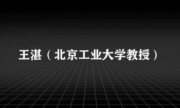 王湛（北京工业大学教授）