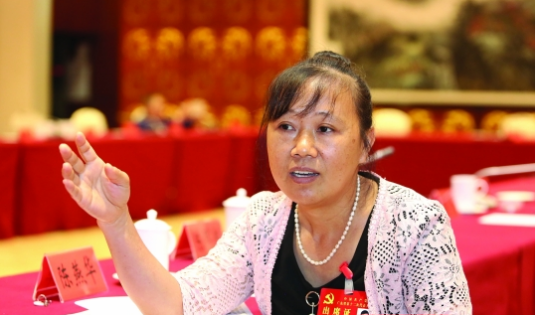 陈燕华（党十九大代表）