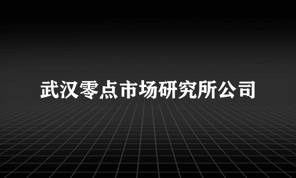 武汉零点市场研究所公司