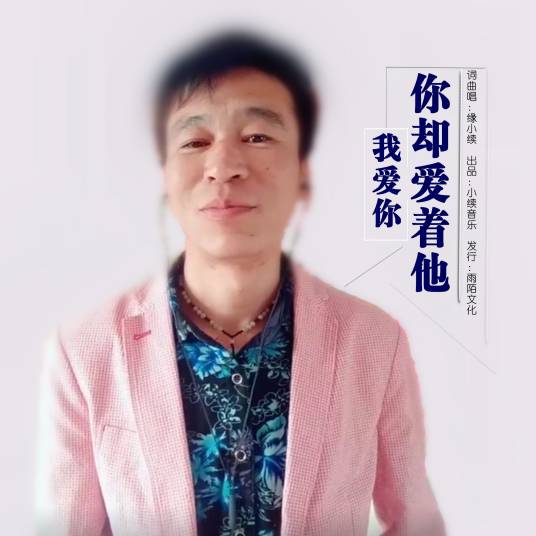 我爱你你却爱着他（缘小续演唱的歌曲）