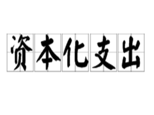 资本化支出