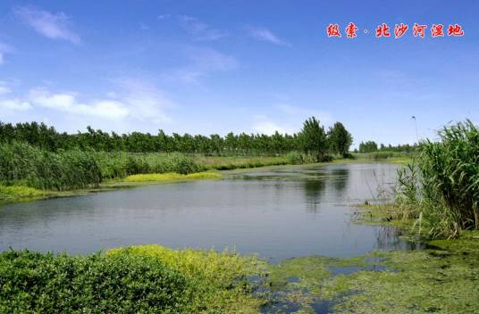 北沙河（北京市河流（温榆河支流））