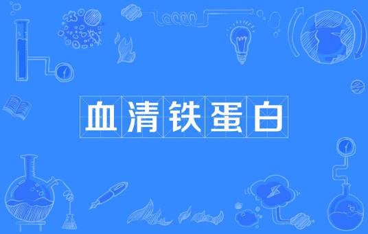 血清铁蛋白
