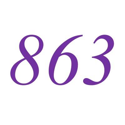 863（自然数之一）