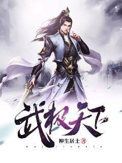 武极天下（柳生居士创作的武侠侦探类网络小说）