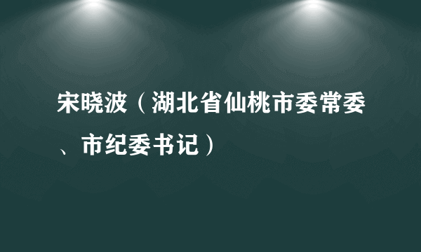宋晓波（湖北省仙桃市委常委、市纪委书记）