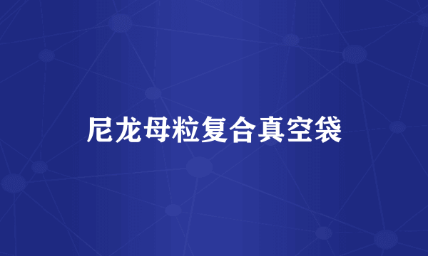 尼龙母粒复合真空袋