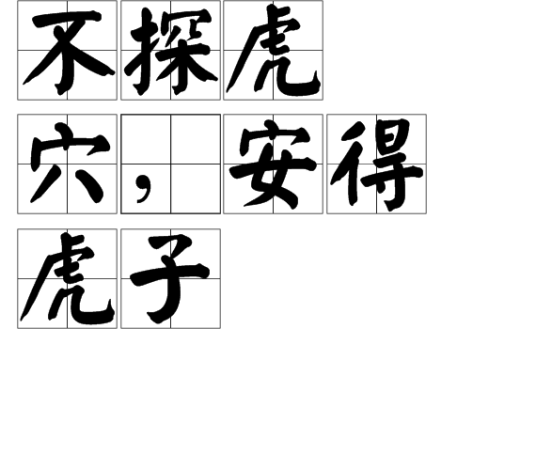 不探虎穴，安得虎子