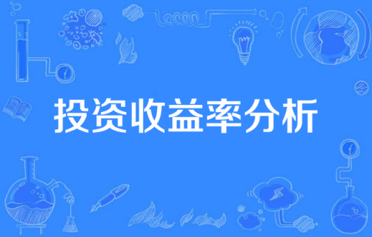 投资收益率分析