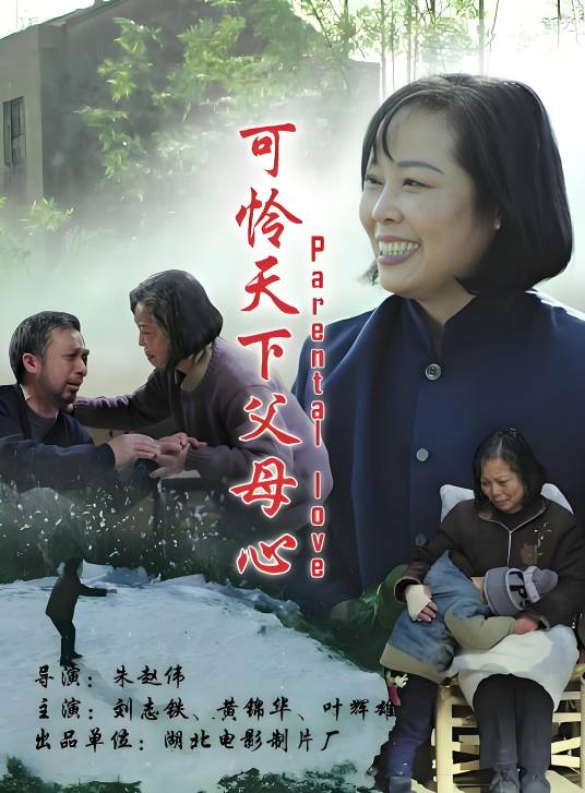 可怜天下父母心（2018年朱赵伟执导电戏曲影）