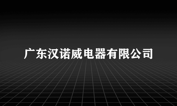 广东汉诺威电器有限公司