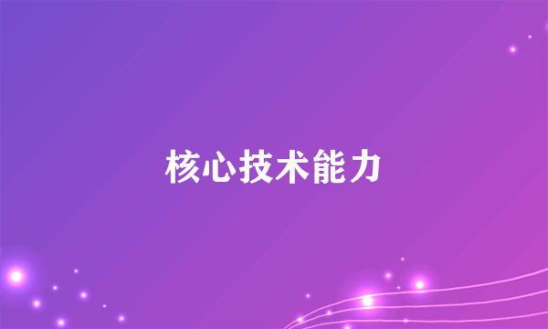 核心技术能力