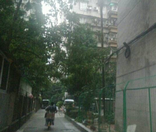 体育西路天河街