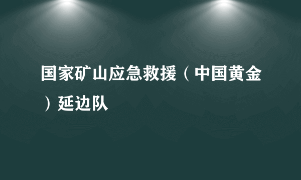 国家矿山应急救援（中国黄金）延边队