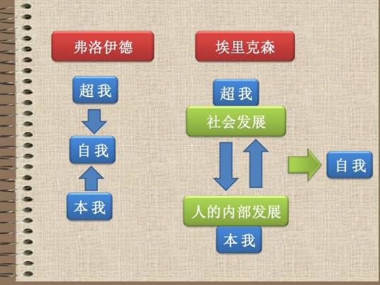 人格发展阶段论