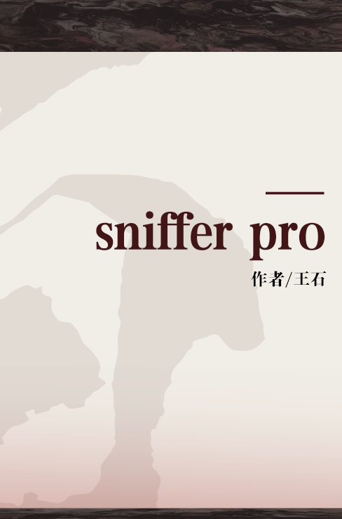 sniffer pro（王石等编著图书）