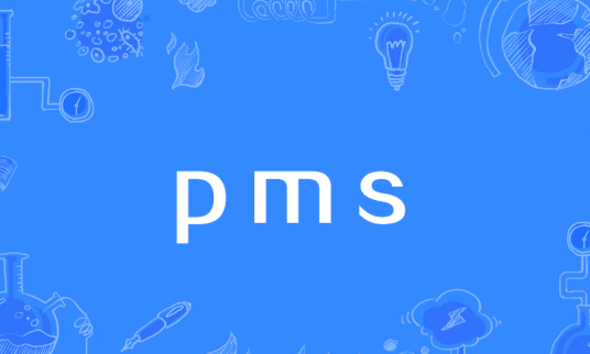 pms（船舶维修保养计划）