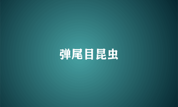 弹尾目昆虫