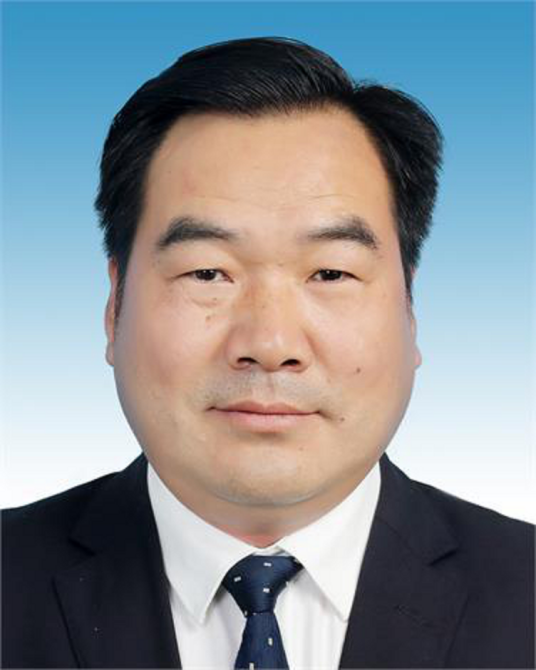 任敏（云南省云龙县委书记）