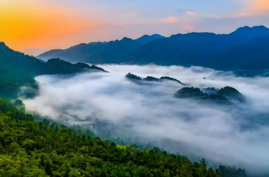 空山国家森林公园风景区