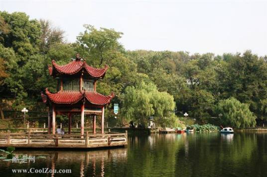 莲花塘（景德镇莲花塘）