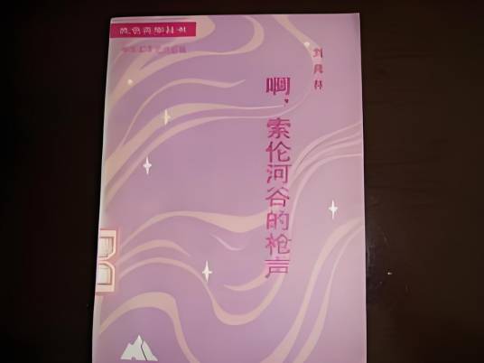 啊，索伦河谷的枪声（刘兆林创作的网络小说）