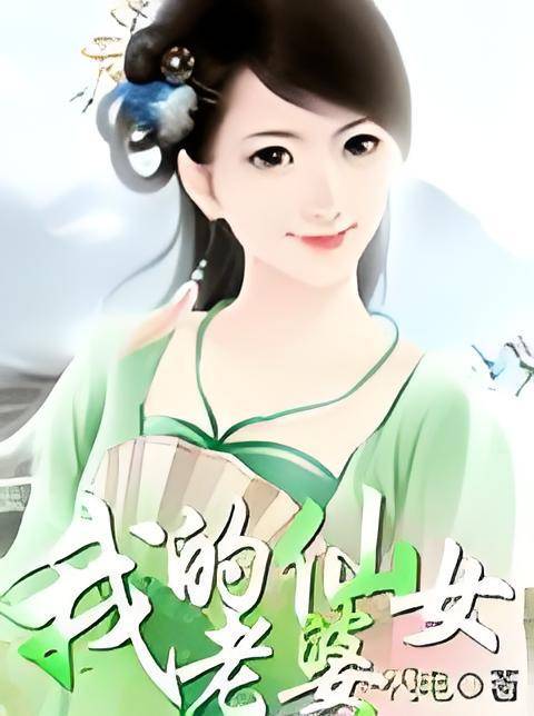 我的仙女老婆（兔子创作网络小说）