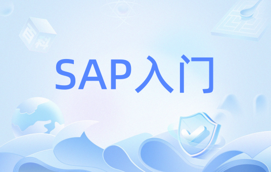 SAP入门