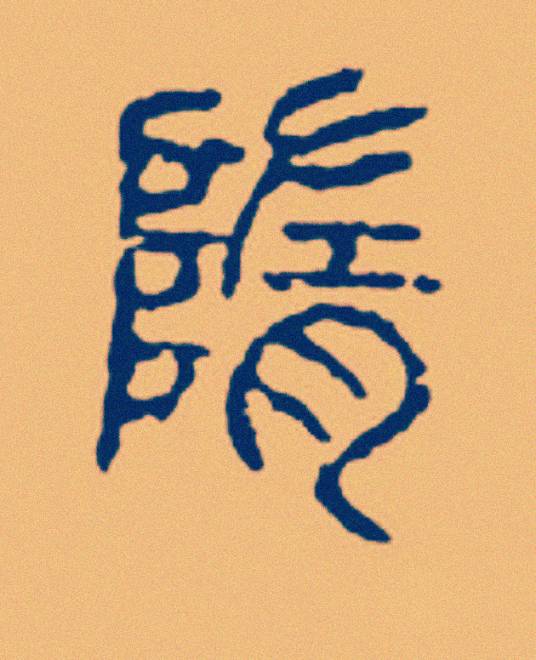 隋姓