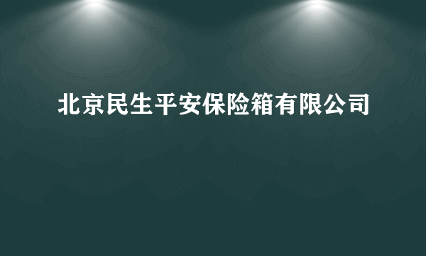 北京民生平安保险箱有限公司
