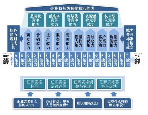 任职资格体系
