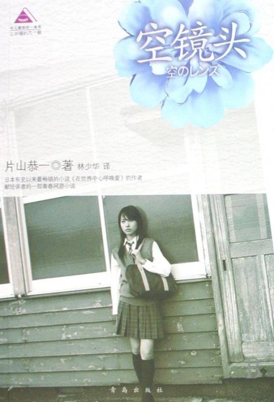 空镜头（2008年青岛出版社出版的图书）