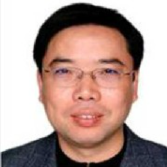 李亚伟（武汉科技大学教授）
