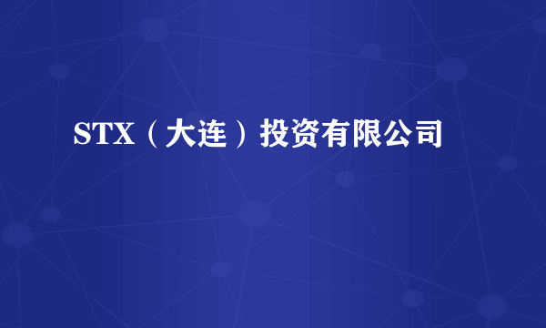STX（大连）投资有限公司